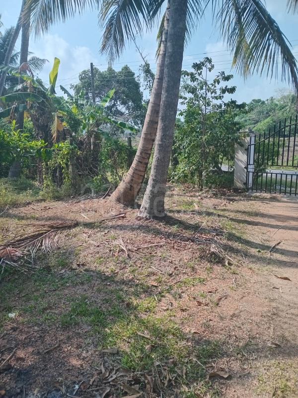 Residential Land for Sale in Nattandiya