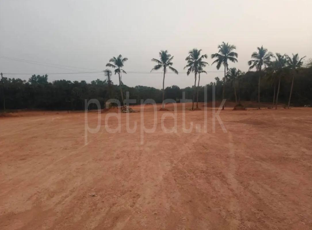 Commercial Land for Sale in Narahenpita (Colombo 05)