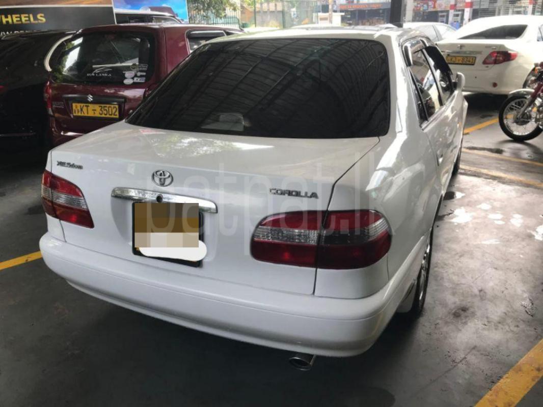 Advertisement image 1