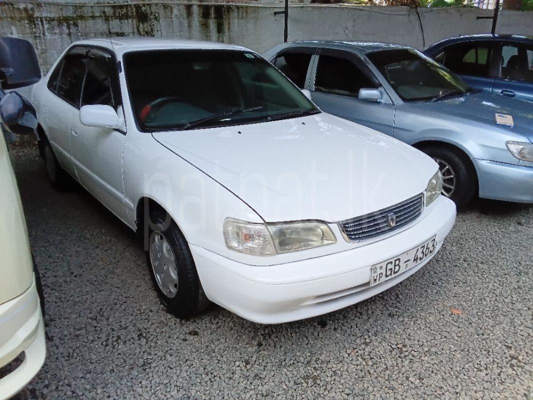 Toyota Corolla 2001 - භාවිතා කරන ලද කාර් sale in Sri Lanka - patpat.lk