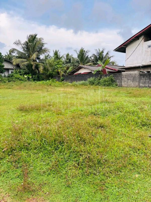 Residential Land for Sale in Ragama