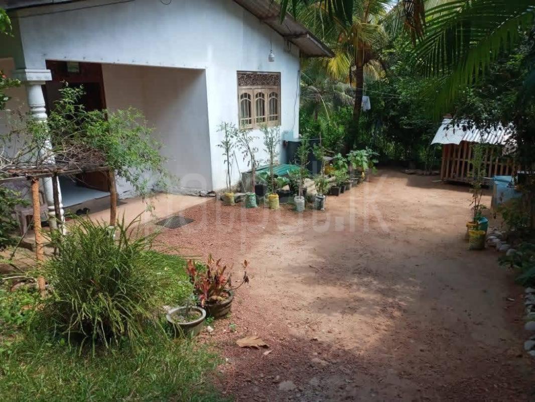 House for Sale in Panadura