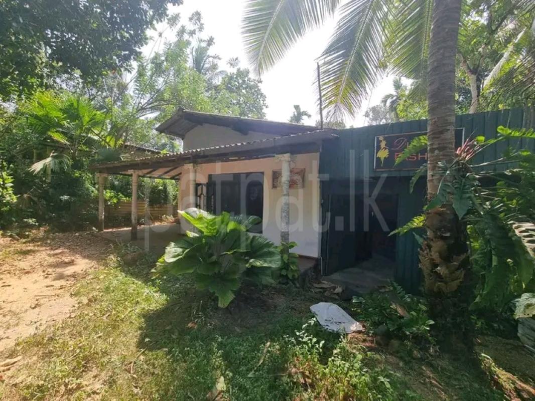 Advertisement image 4