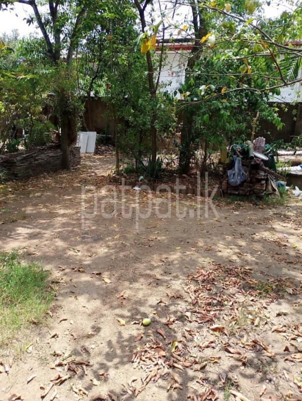 Residential Land for Sale in Kottawa