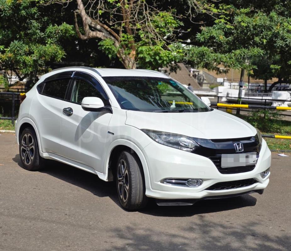 Advertisement image 3