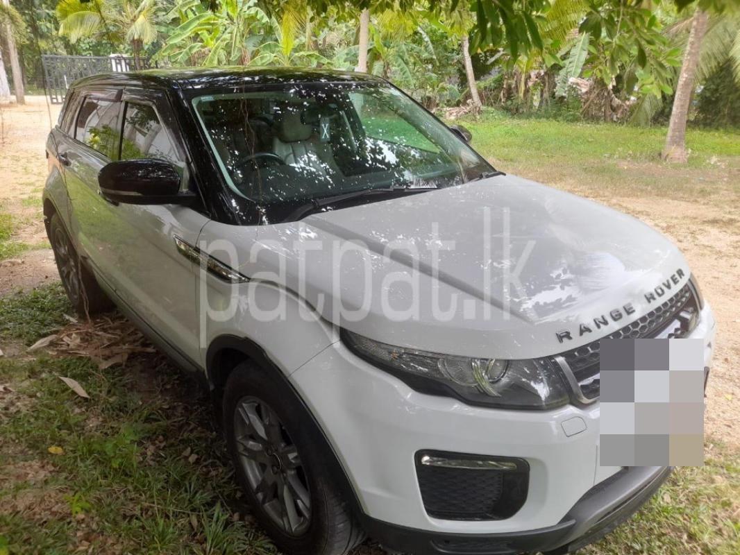 Advertisement image 6