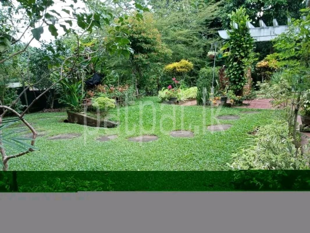House for Sale in Ambalangoda ads-image-1