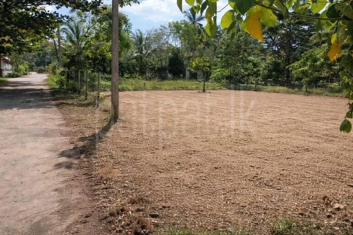 Commercial Land for Sale in Yakkala