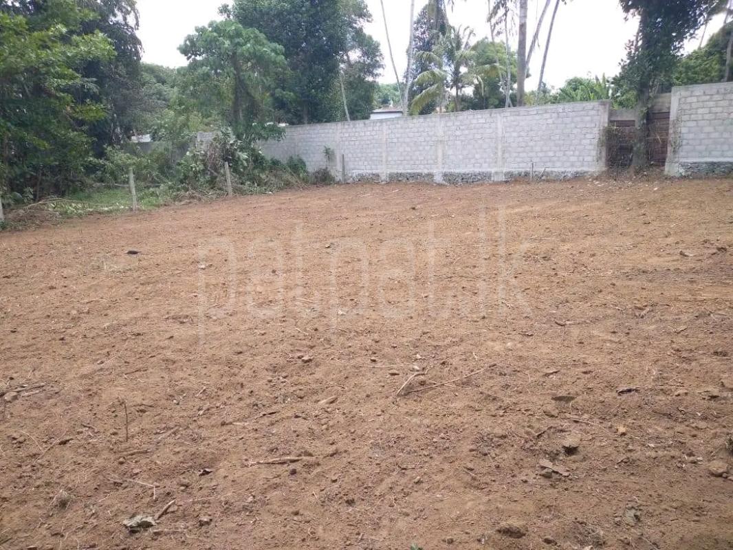 Residential Land for Sale in Maggona