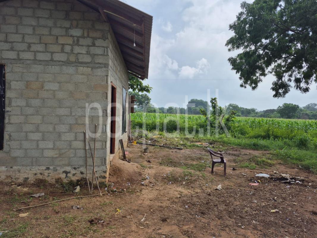 Residential Land for Sale in Anuradhapura