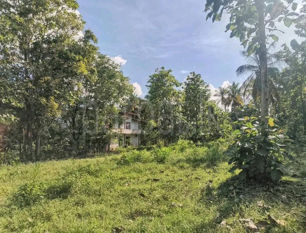Agricultural Land for Sale in Veyangoda