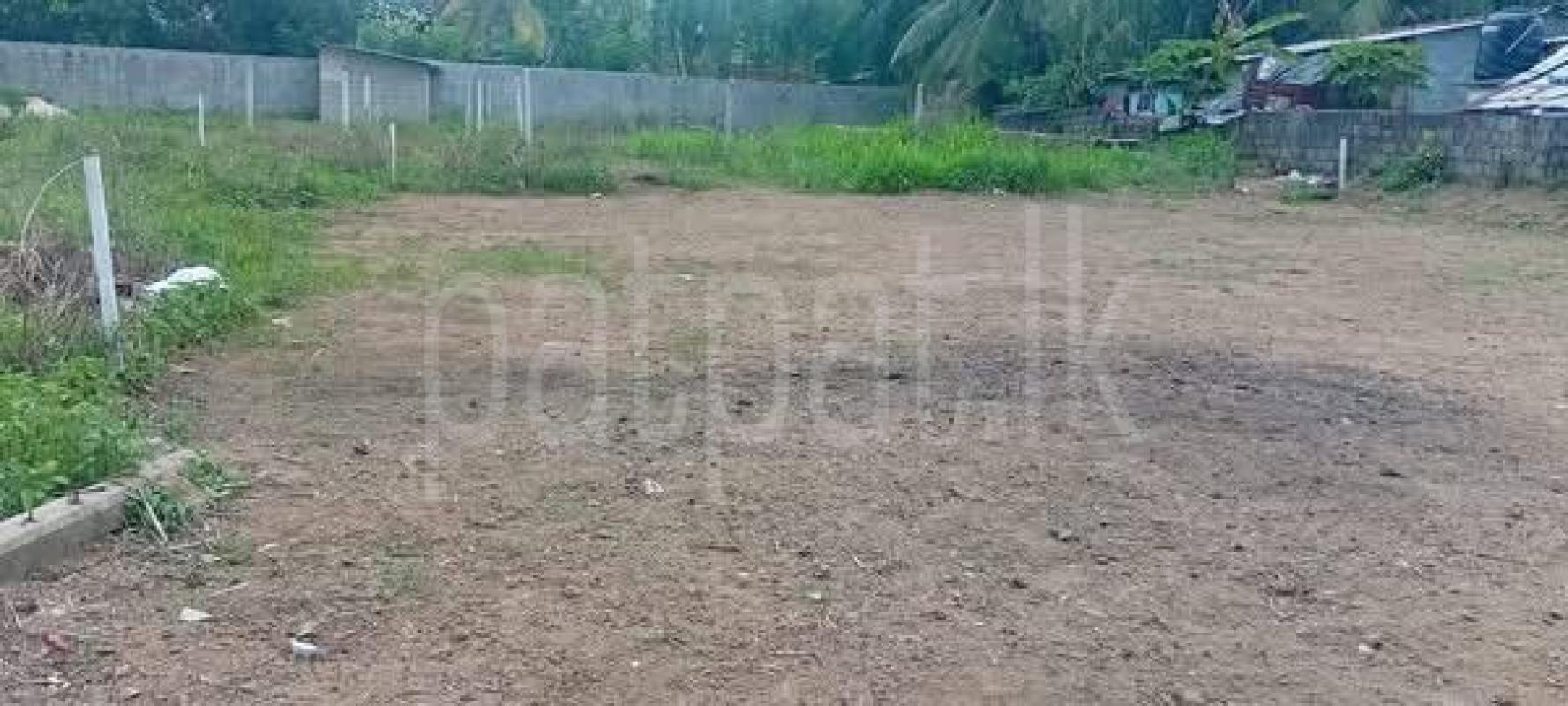 Agricultural Land for Sale in Delgoda