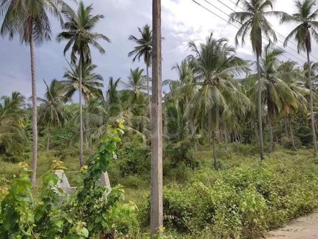 Agricultural Land for Sale in Hiripitiya