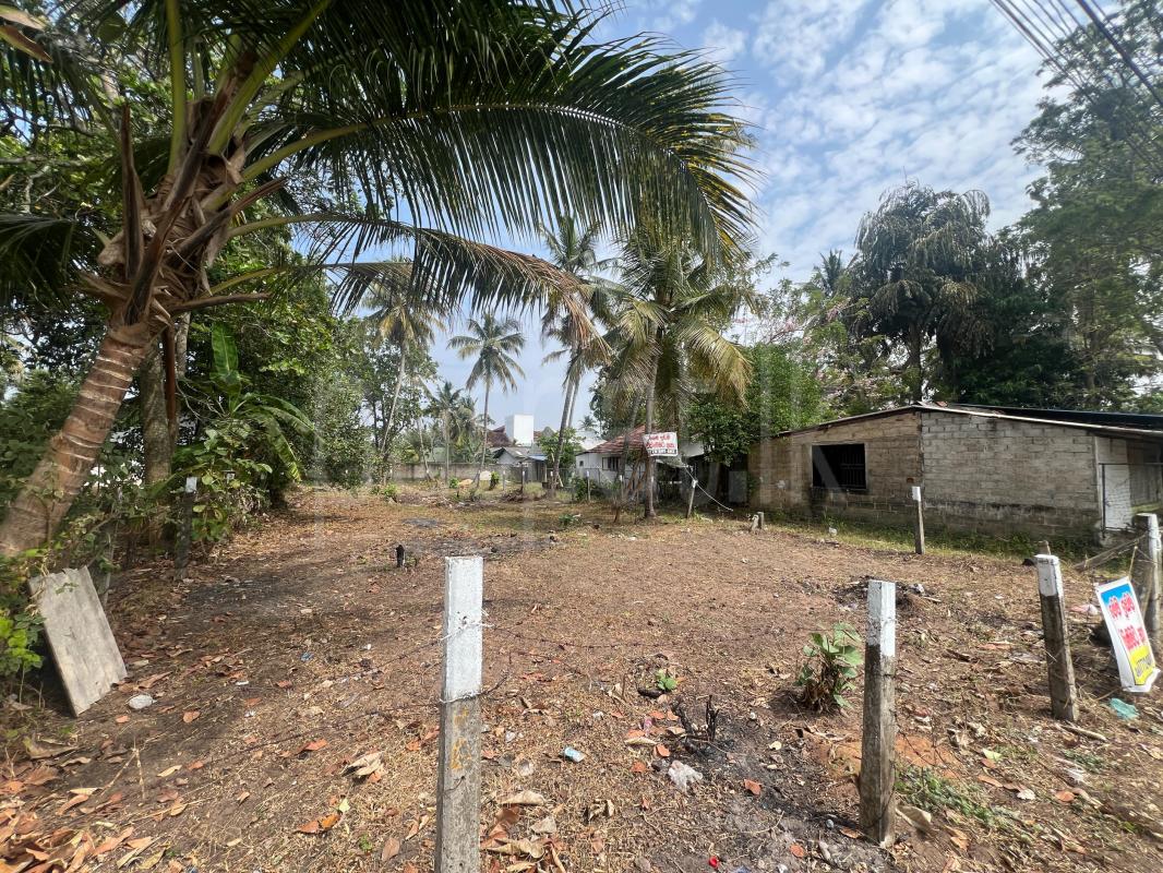 Residential Land for Sale in Negombo