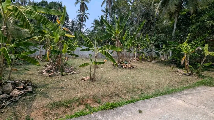 Commercial Land for Sale in Yakkala