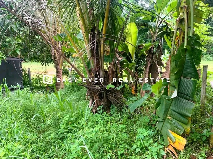 Commercial Land for Sale in Minuwangoda
