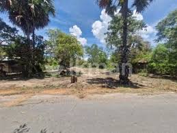 Commercial Land for Sale in Batticaloa