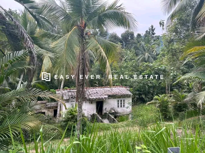 Commercial Land for Sale in Minuwangoda