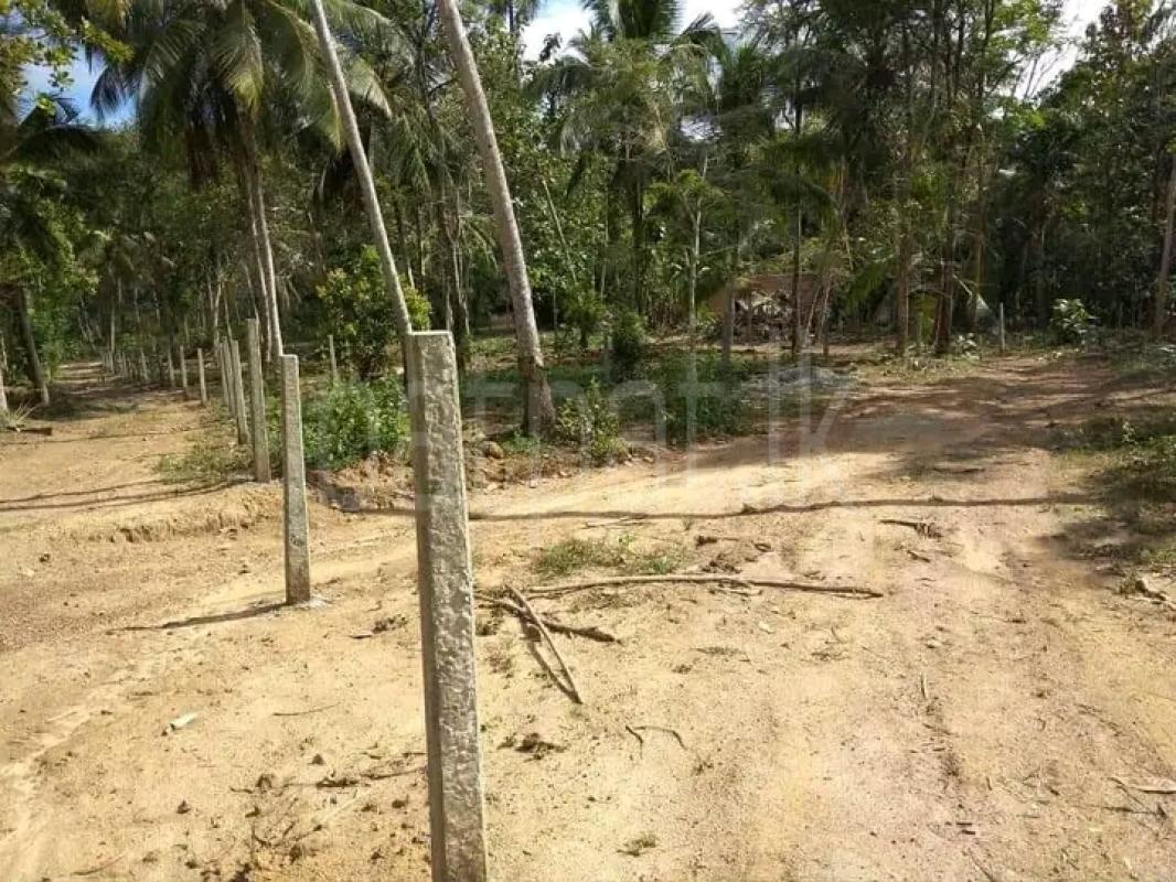 Residential Land for Sale in Beliatta
