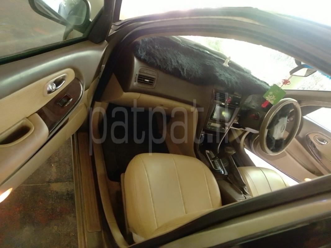 Advertisement image 3