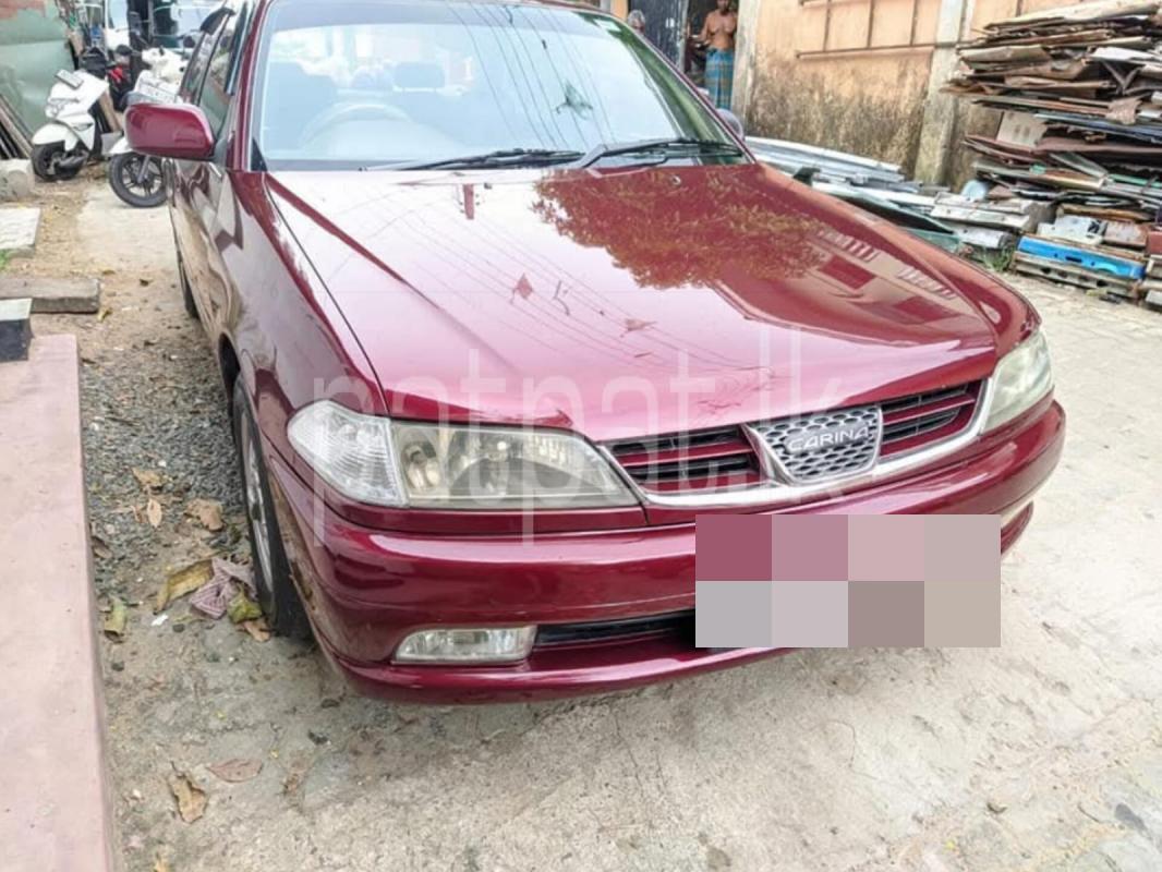 Advertisement image 2