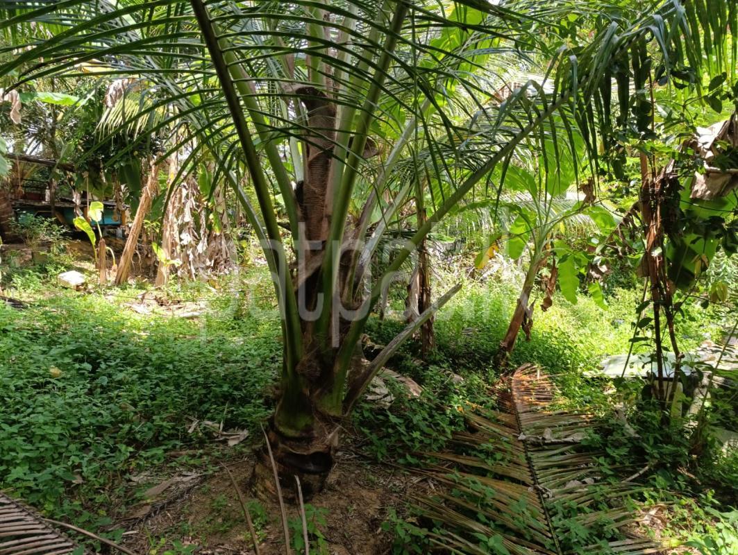 Residential Land for Sale in Horana