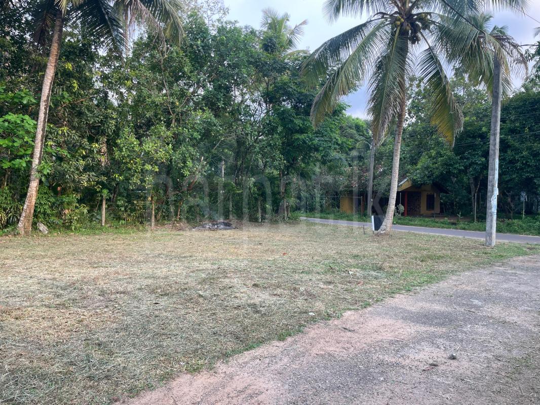 Residential Land for Sale in Gampaha