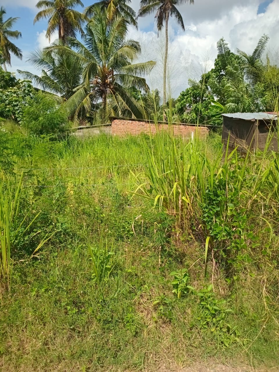 Residential Land for Sale in Kotikawatta
