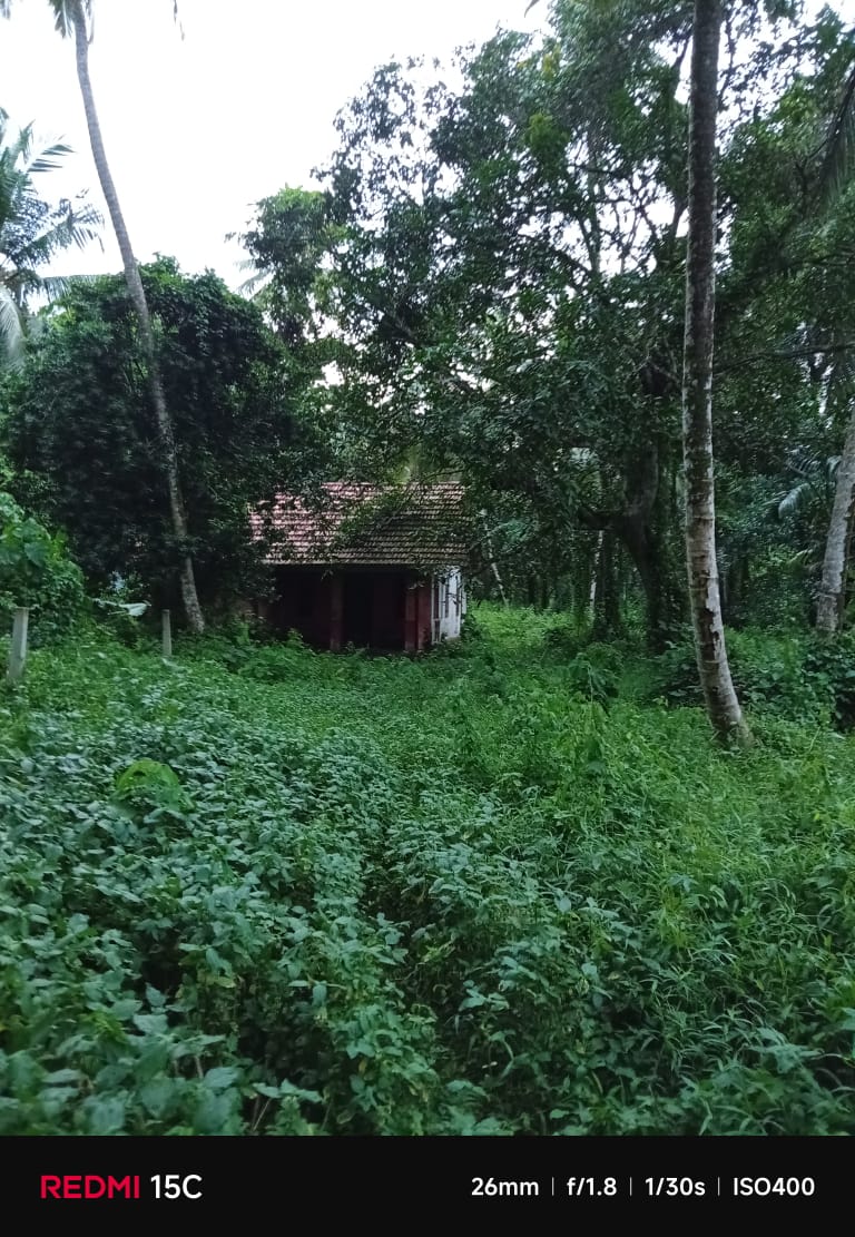 Residential Land for Sale in Veyangoda