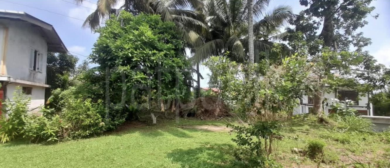 Commercial Land for Sale in Wanchawela