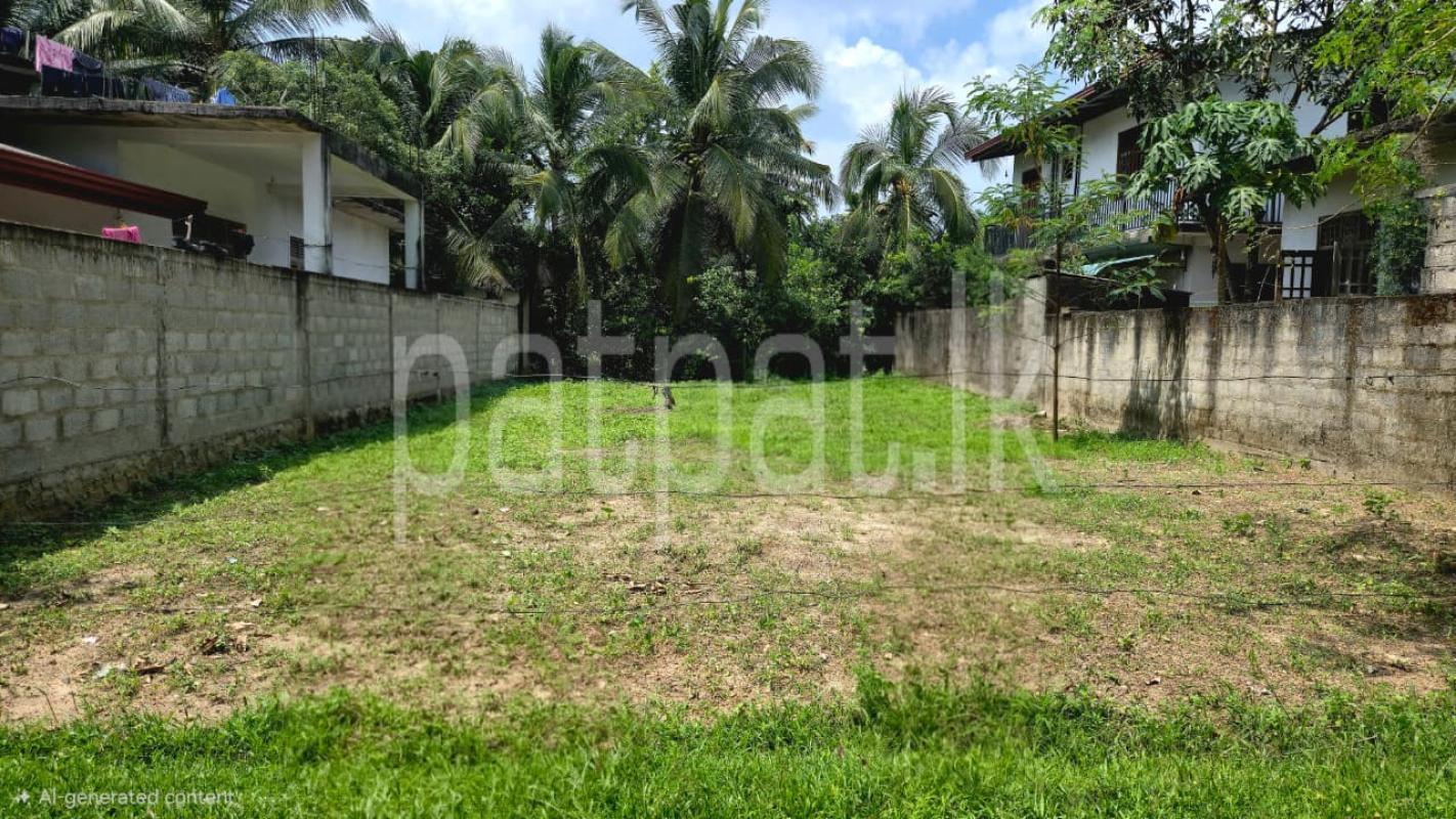 Residential Land for Sale in Borella (Colombo 08) ads-image-1