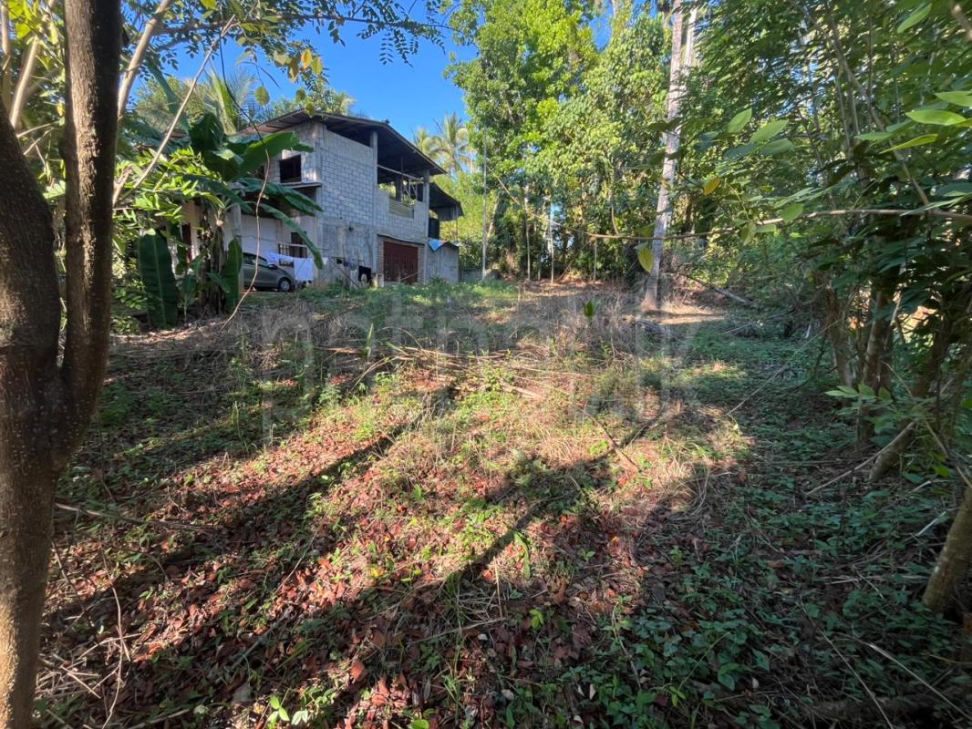 Commercial Land for Sale in Rambukkana