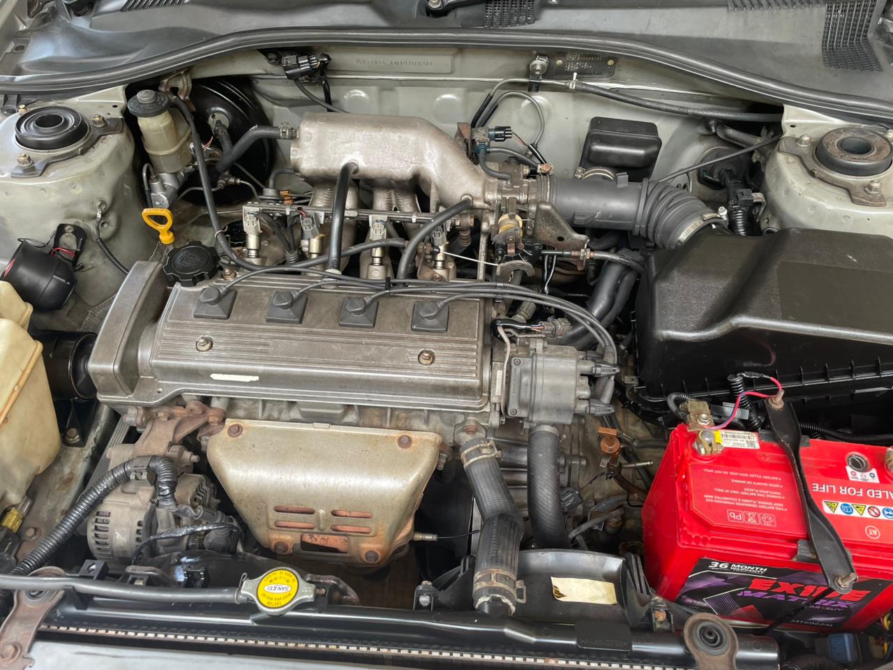 Advertisement image 3