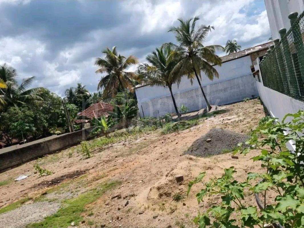 Residential Land for Sale in Ridigama