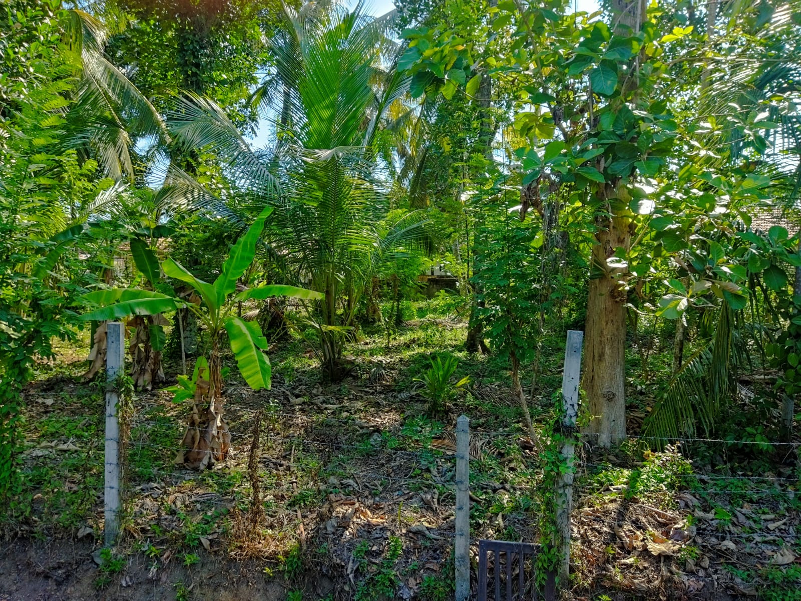 Residential Land for Sale in Panadura