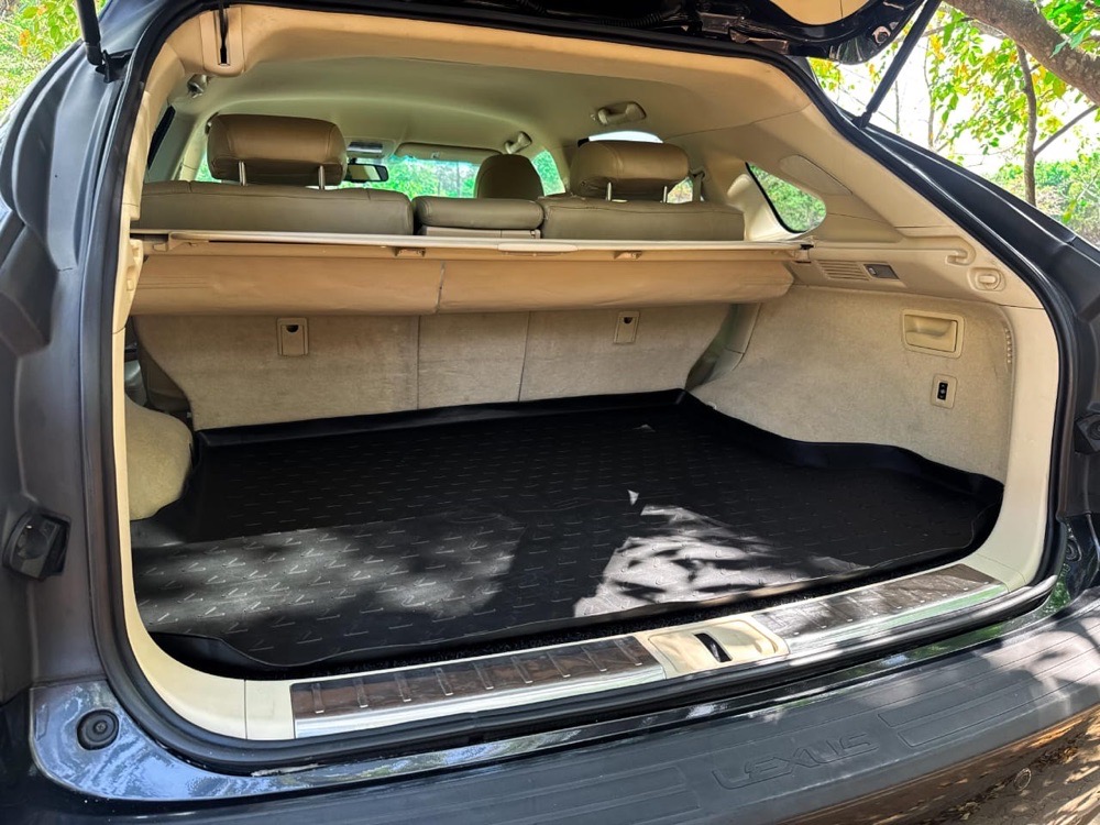 Lexus RX Series 2010 - Used SUV sale in Sri Lanka - patpat.lk