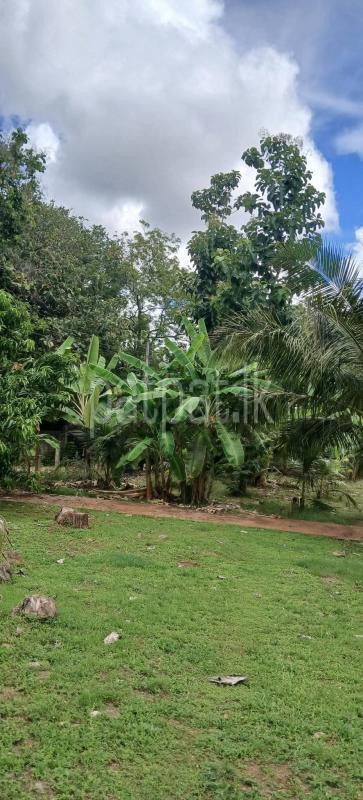 Residential Land for Sale in Kataragama