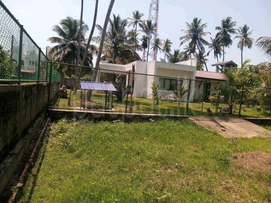 Commercial Land for Sale in Pamunugama