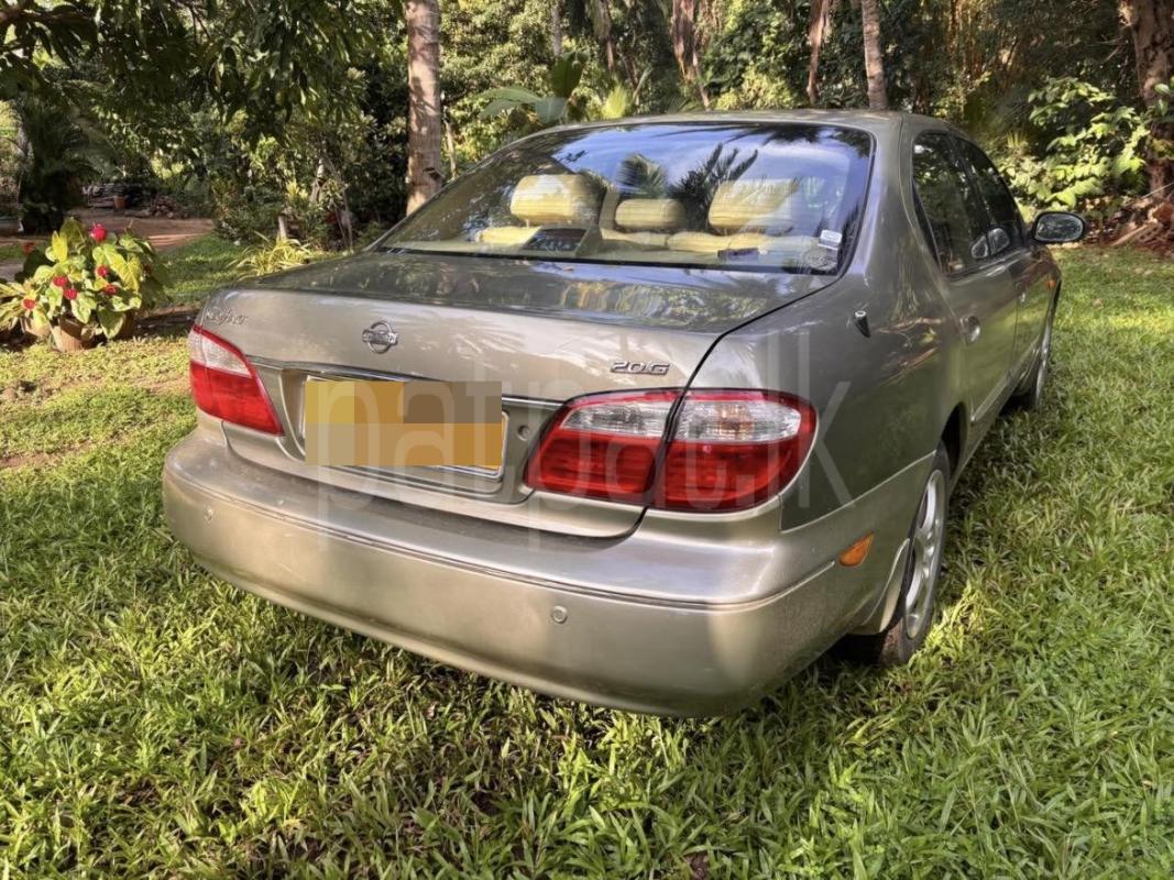 Advertisement image 4