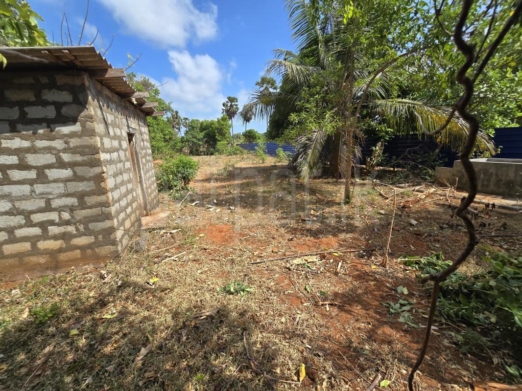 Residential Land for Sale in Tellippallai