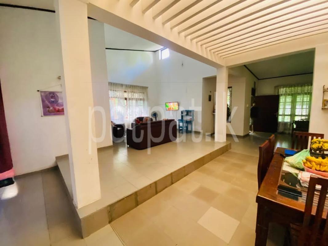 House for Sale in Homagama ads-image-1