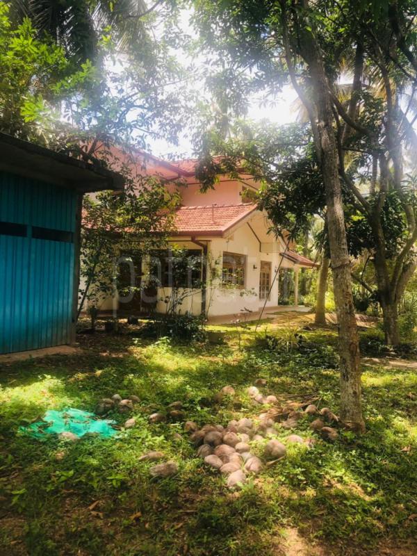 premium-listing-image