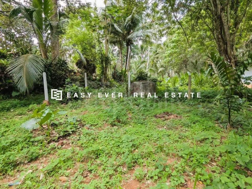 Residential Land for Sale in Veyangoda
