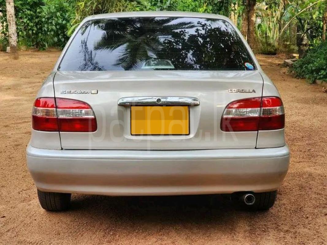 Toyota Corolla 1998 - பயன்படுத்தப்பட்டது கார் sale in Sri Lanka - patpat.lk