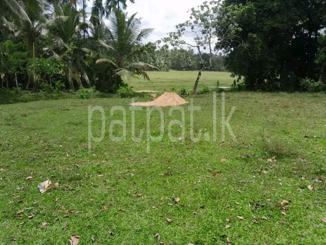 Advertisement image 1