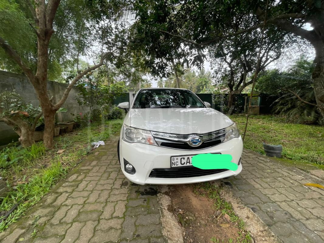 Advertisement image 2