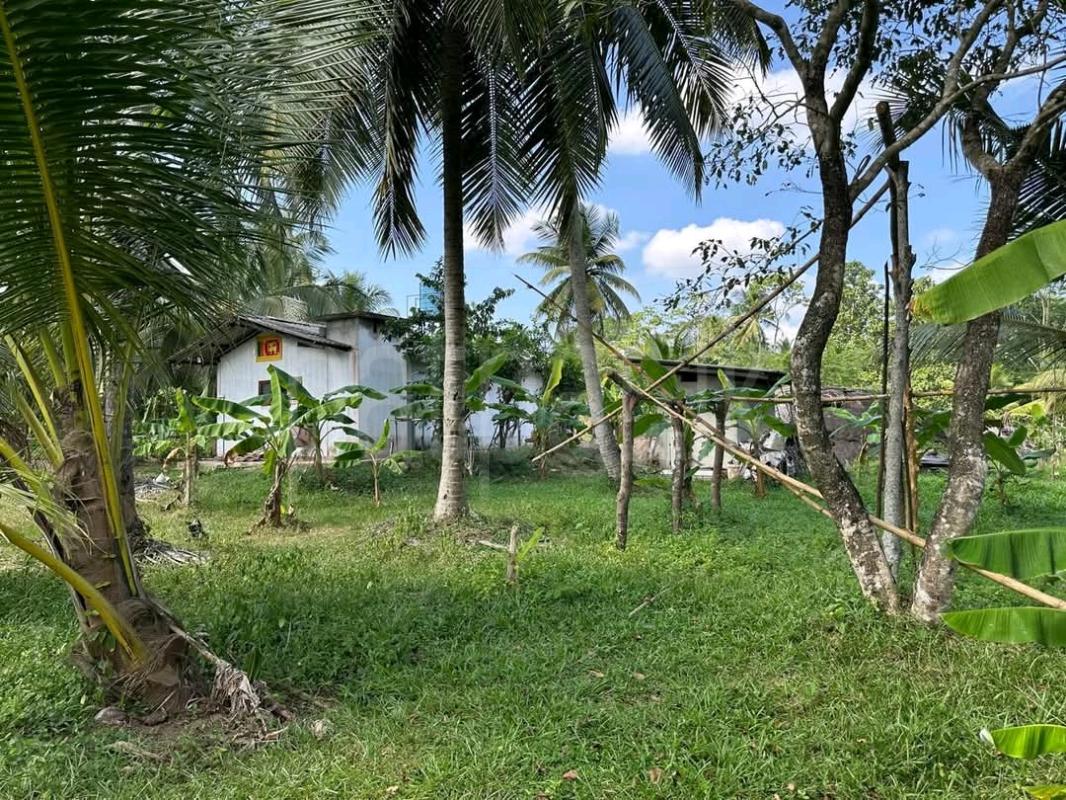 Residential Land for Sale in Kottawa