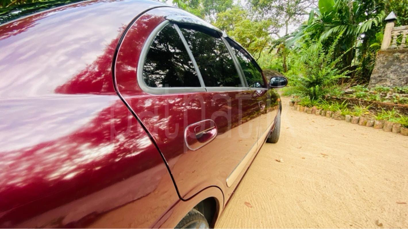 Advertisement image 2