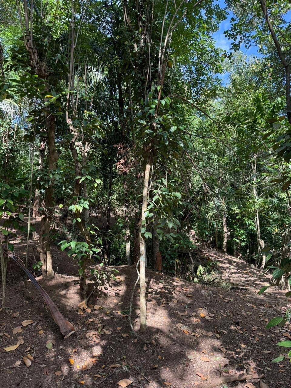 Residential Land for Sale in Ampitiya