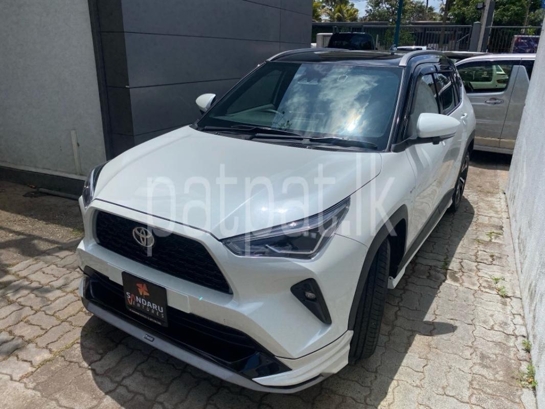 Advertisement image 3